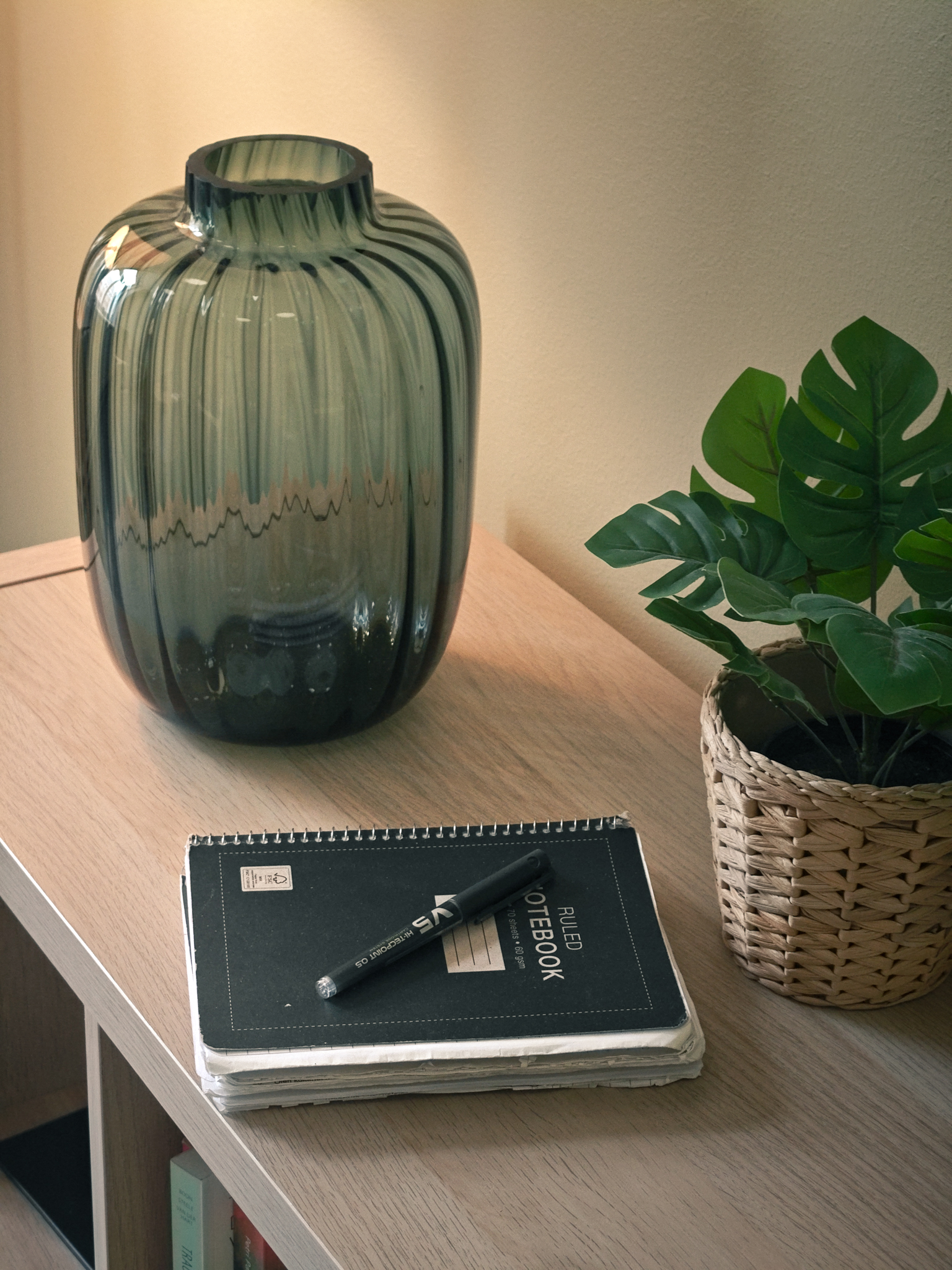 Muistivihko ja kasvi vastaanoton ikkunalaudalla